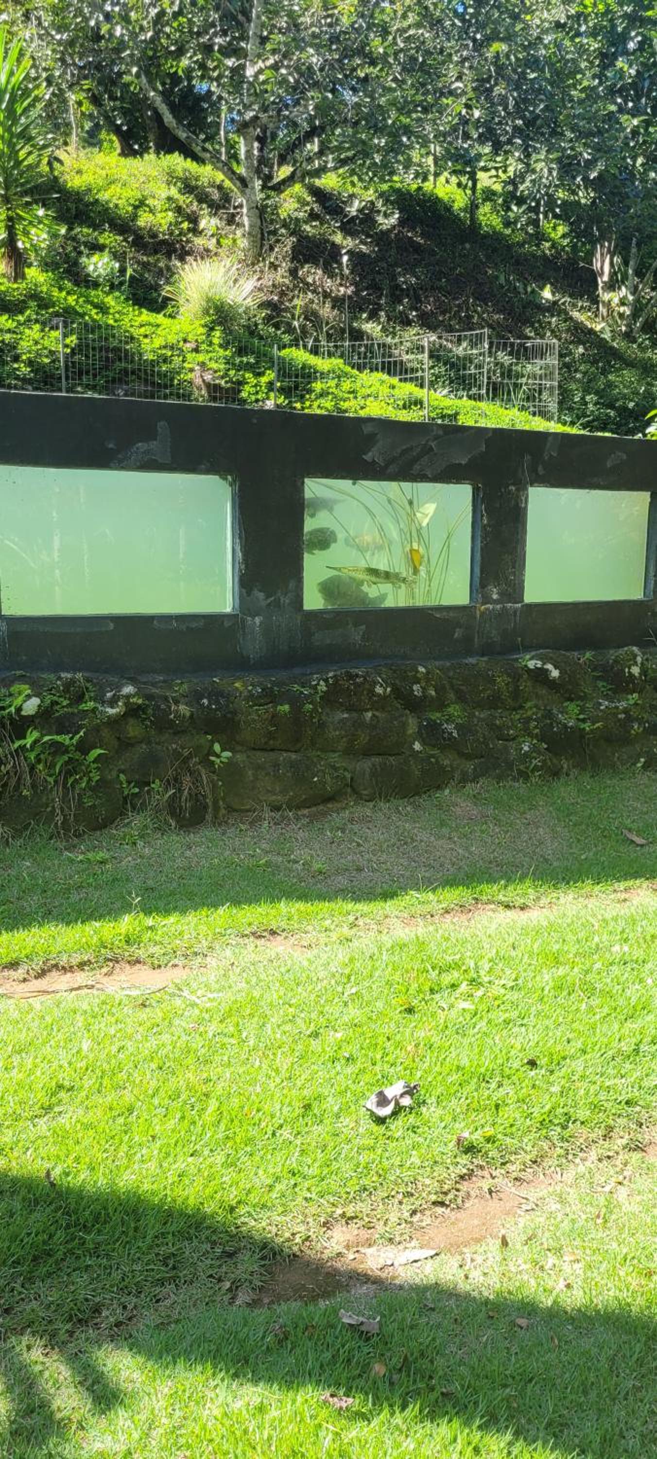 Sitio Vila Nova