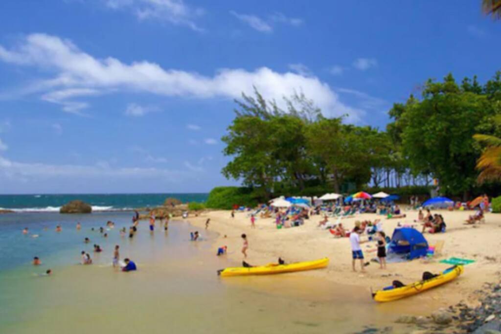 Great view of San Juan Bay close the beach - Property Image 41