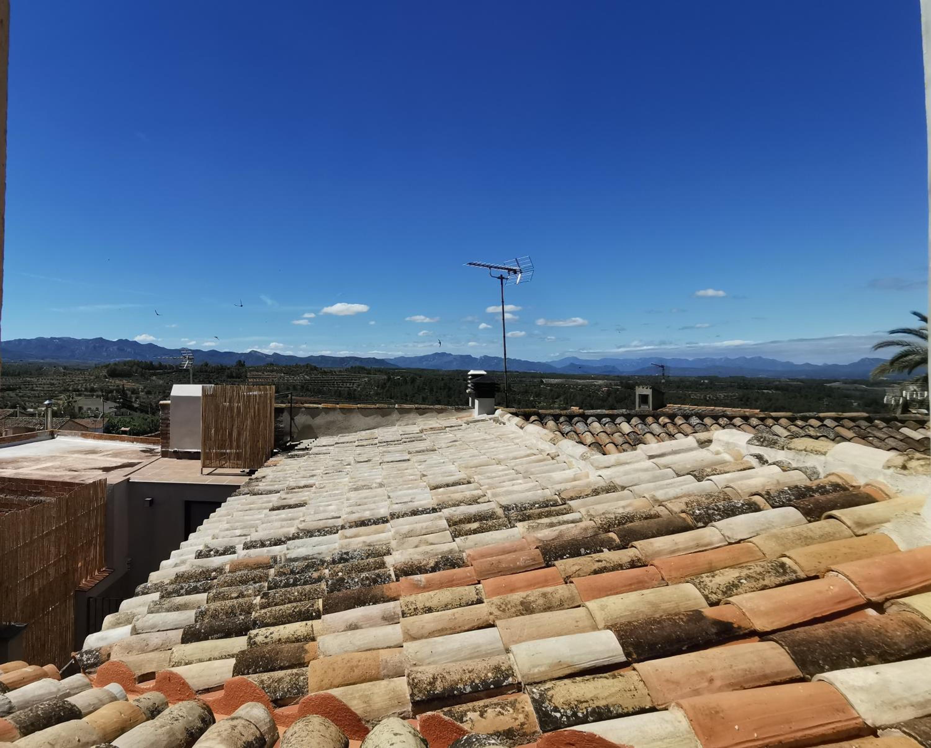 roof