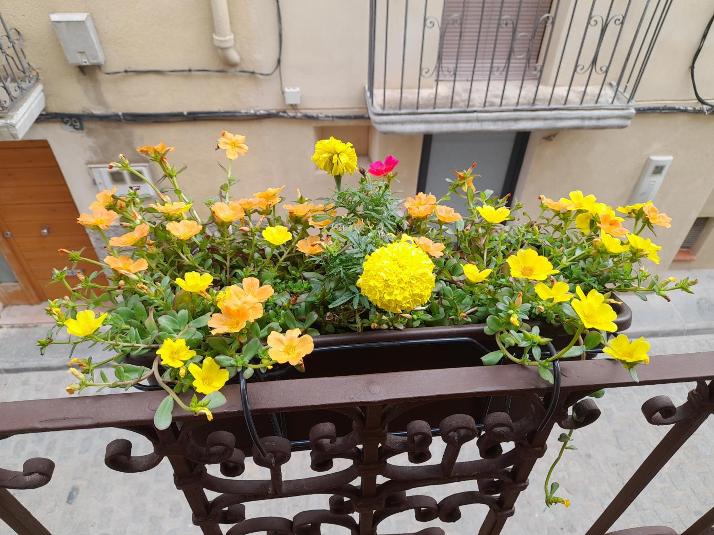 Ca la Pubilla