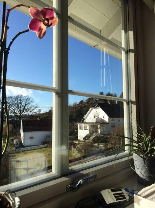 Solrikt med kort avstand til byen