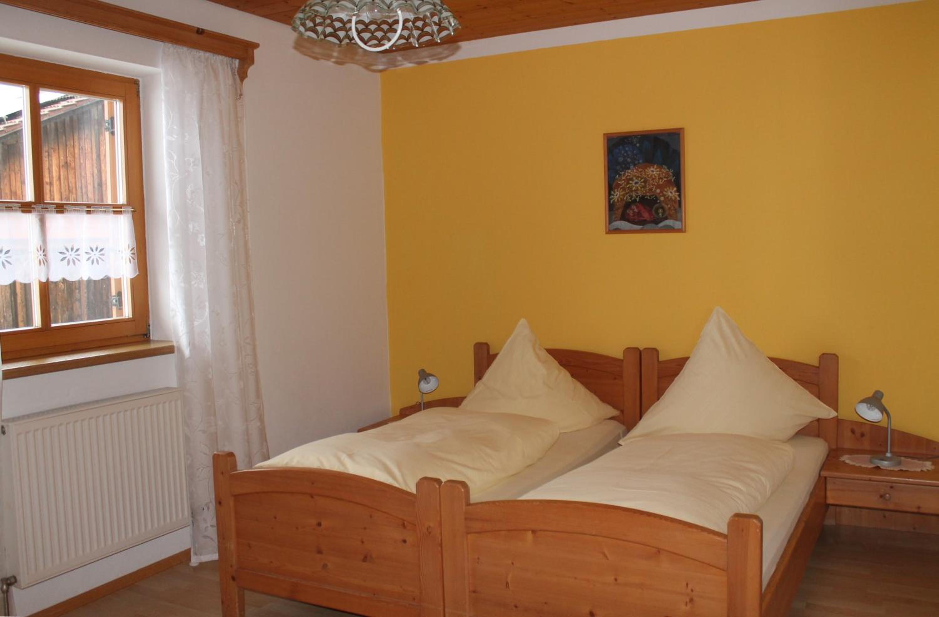 Photo 50