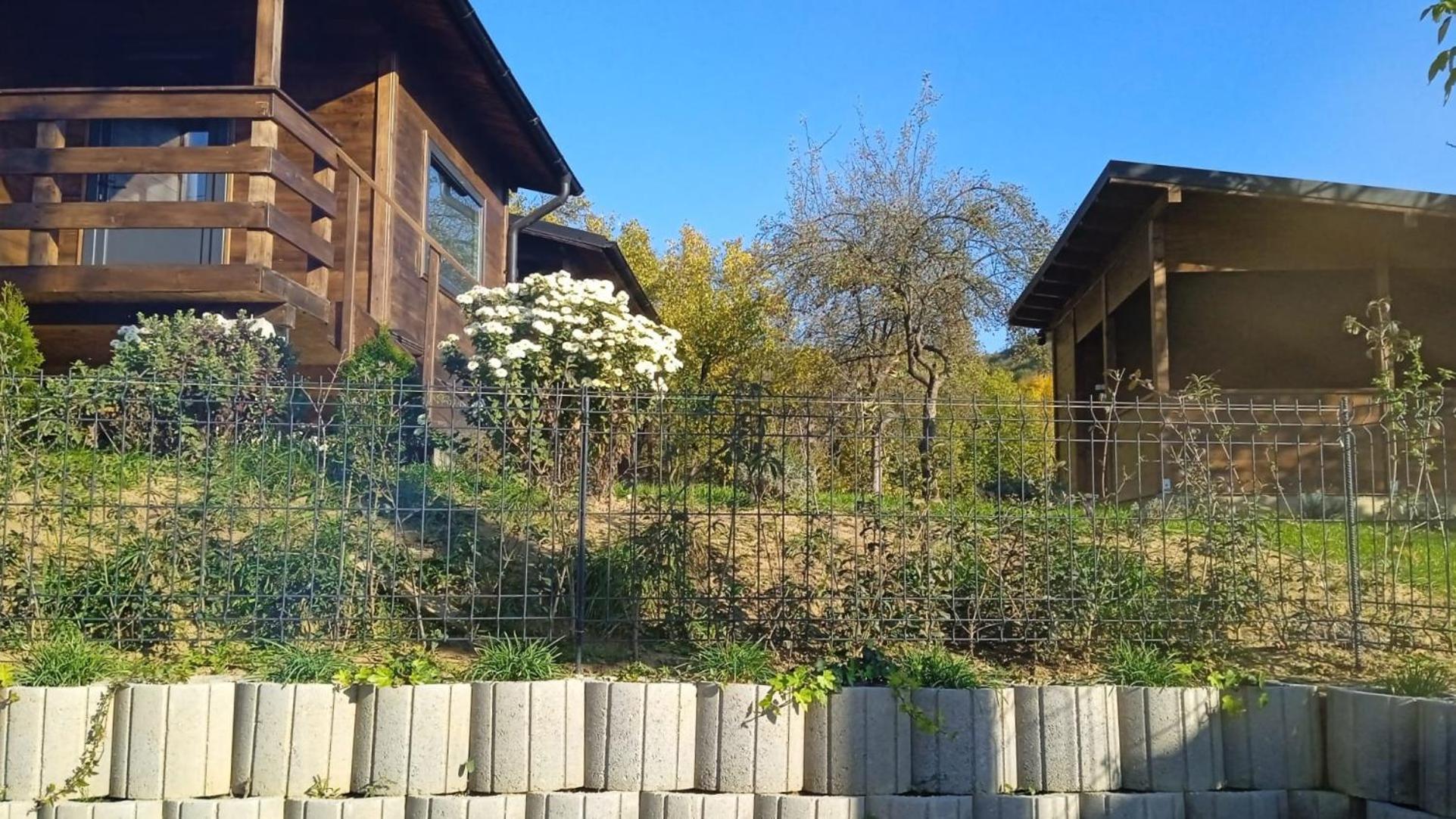 Bungalouri Olanesti view 2