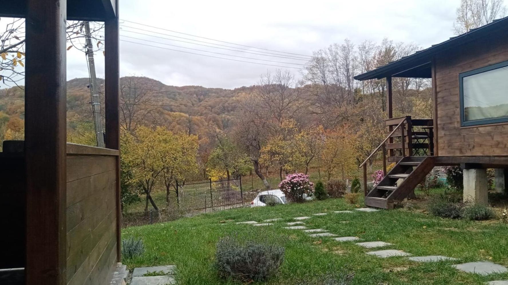 Bungalouri Olanesti view 3