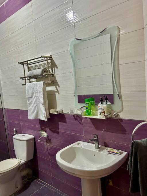 Spacious One bedroom appartement view 4