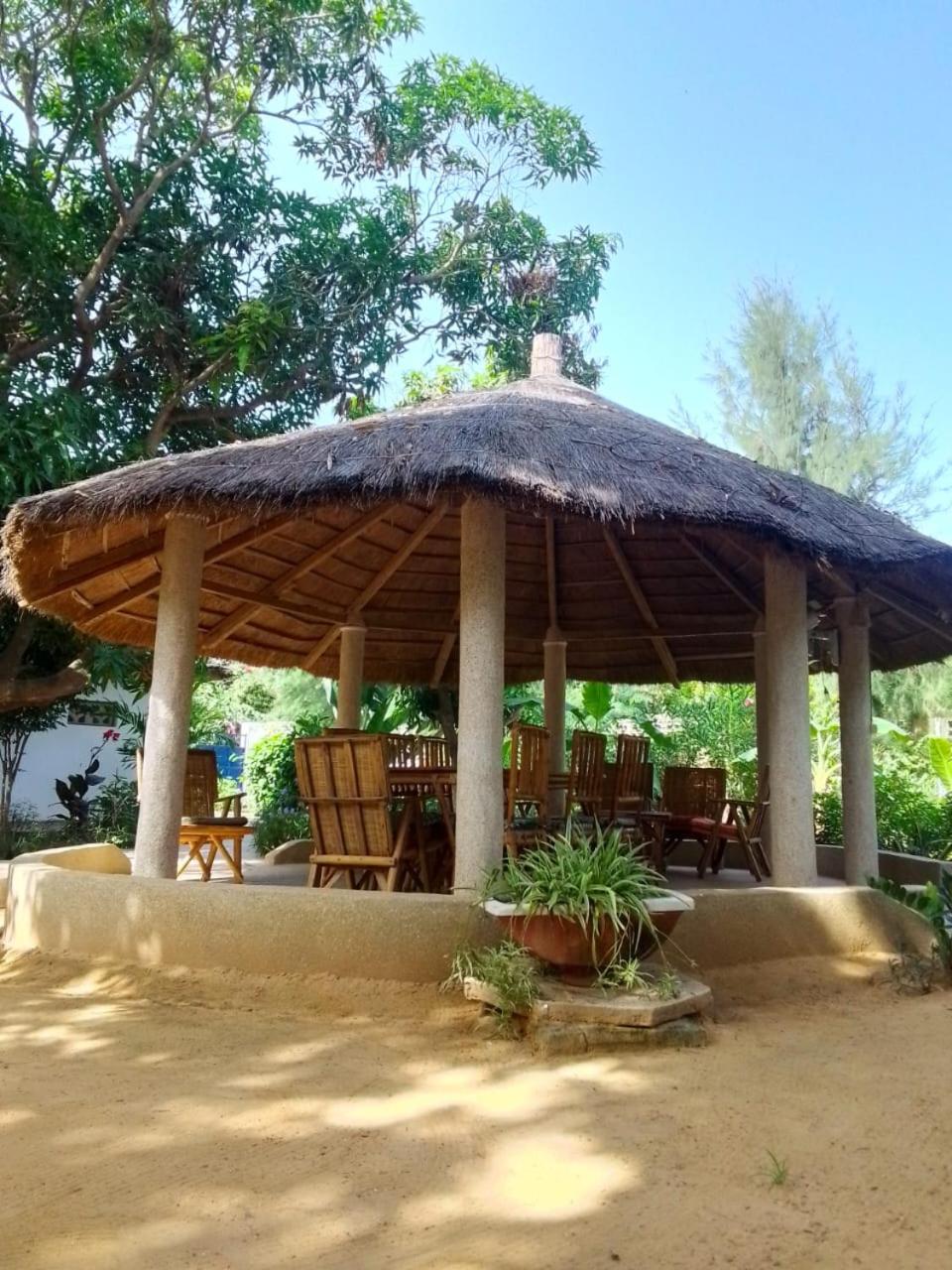 Le jardin de Adja view 3