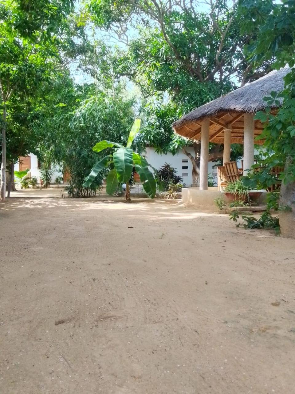Photo 19