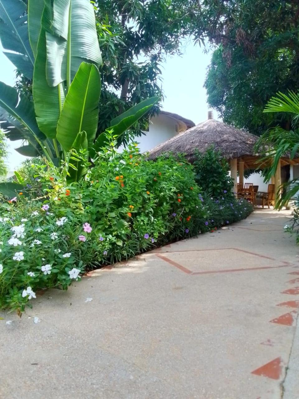 Le jardin de Adja view 2
