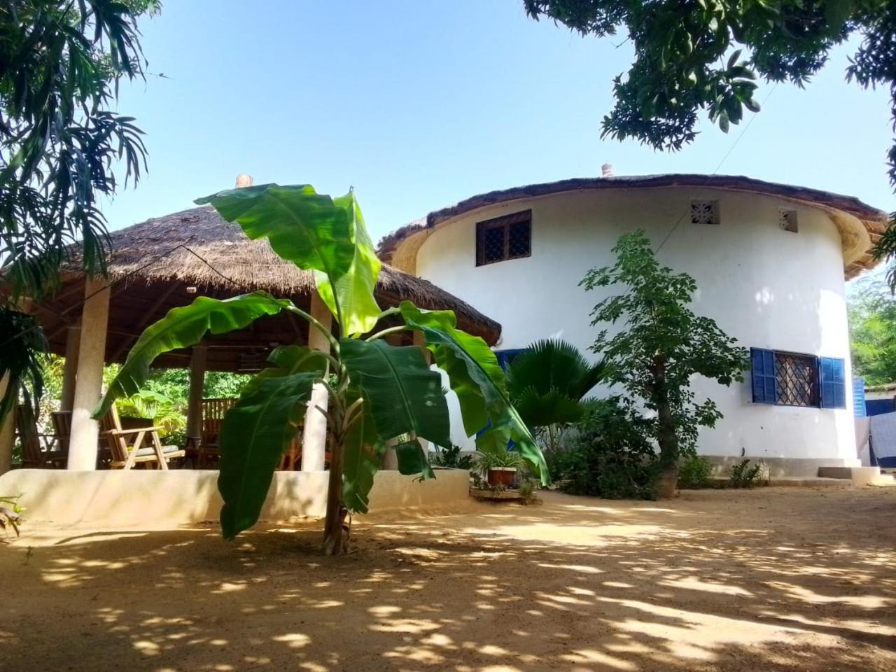 Le jardin de Adja view 5