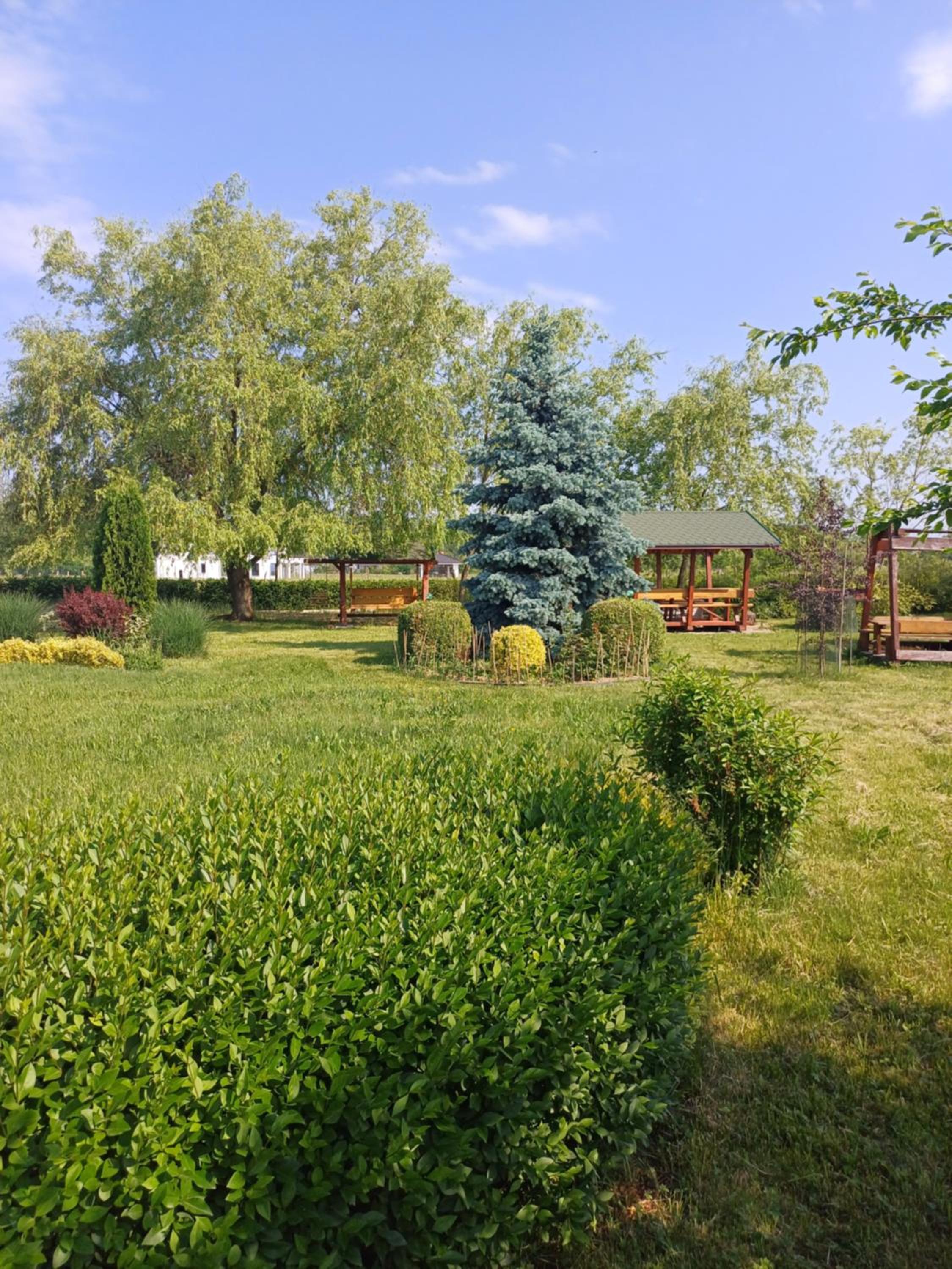 Photo 8