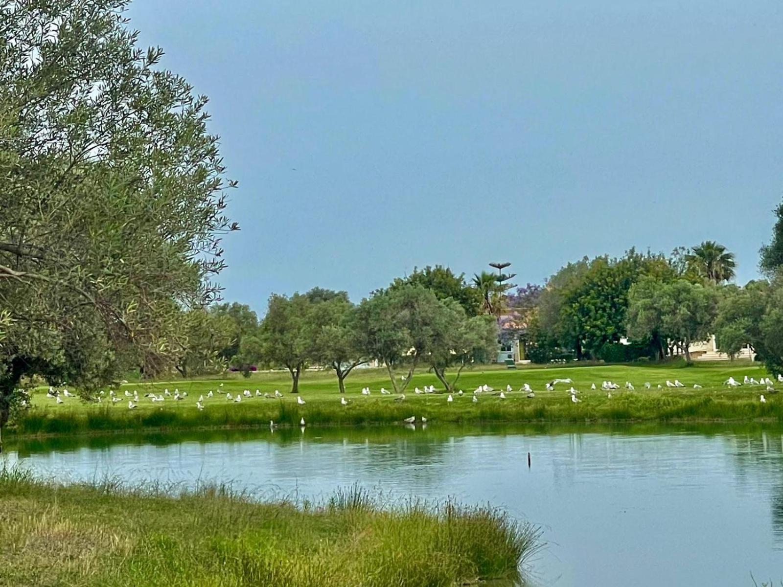 Golf Panoramica San Jordi