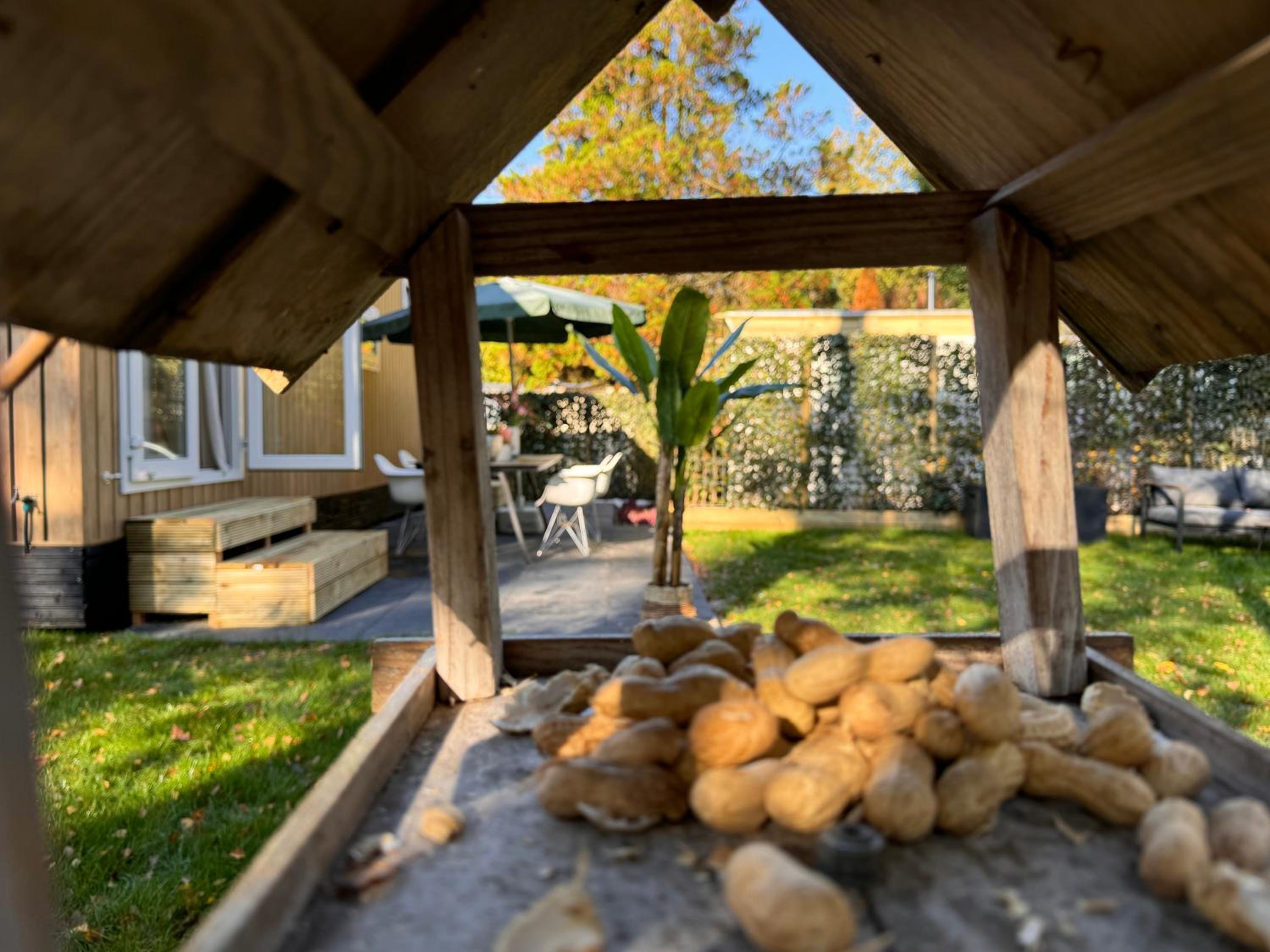 VELUWSHOF HOENDERLOO HOLIDAYS Luxe Holidayhomes with PRIVATE JACUZZI'S - SwimmingPool - Tennis Court - Bowling - Supermarket and Children Entertainment view 5