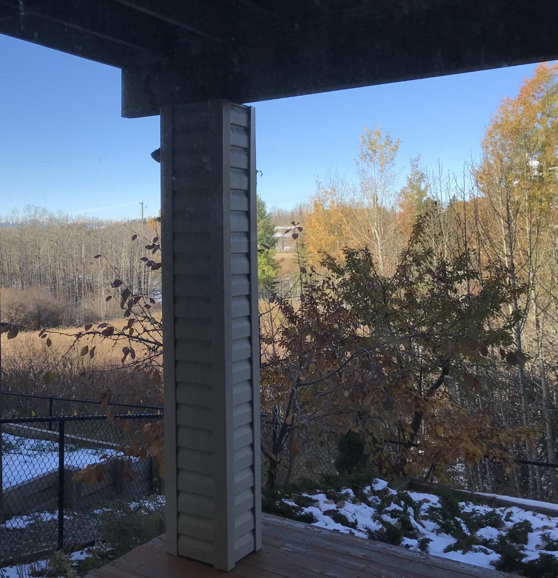 民宿Ann's House in Calgary