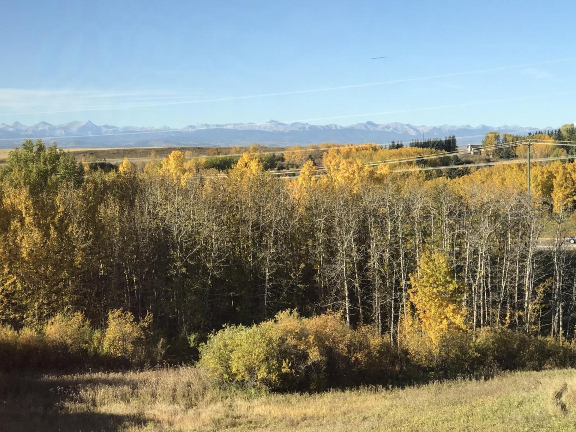 民宿Ann's House in Calgary