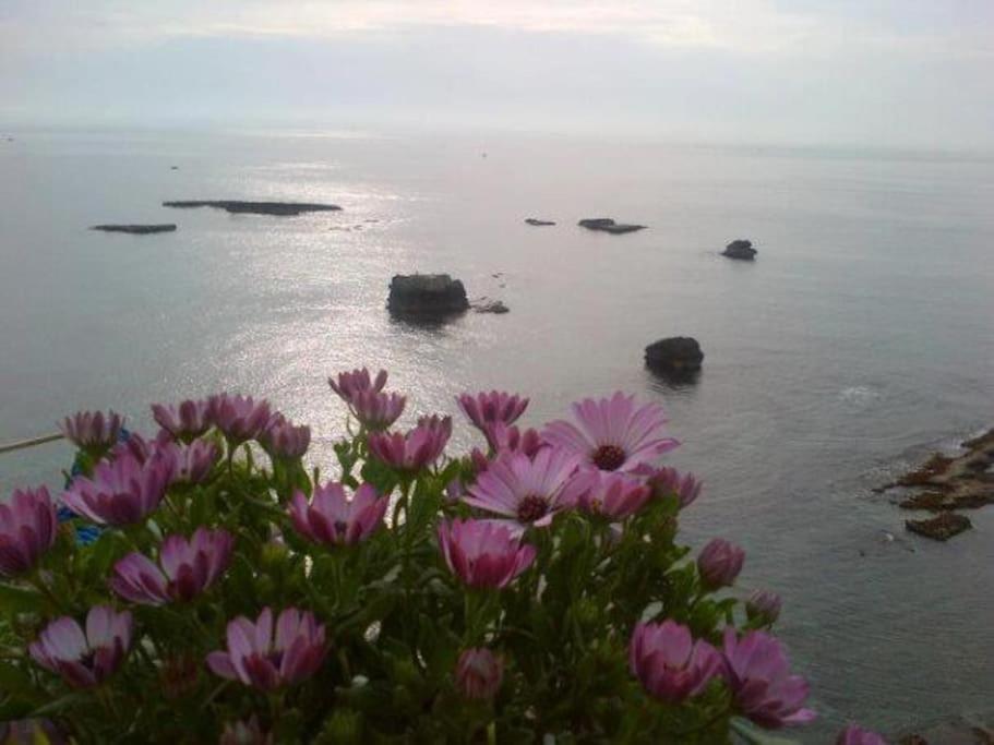 Riccio di Mare - Large and bright flat on the sea view 5