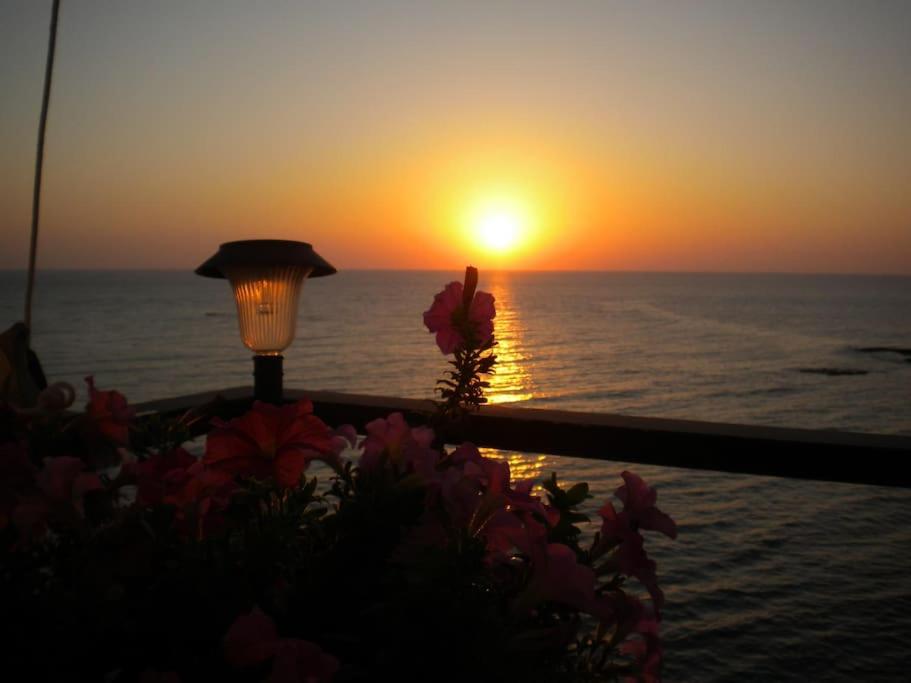 Riccio di Mare - Large and bright flat on the sea view 3