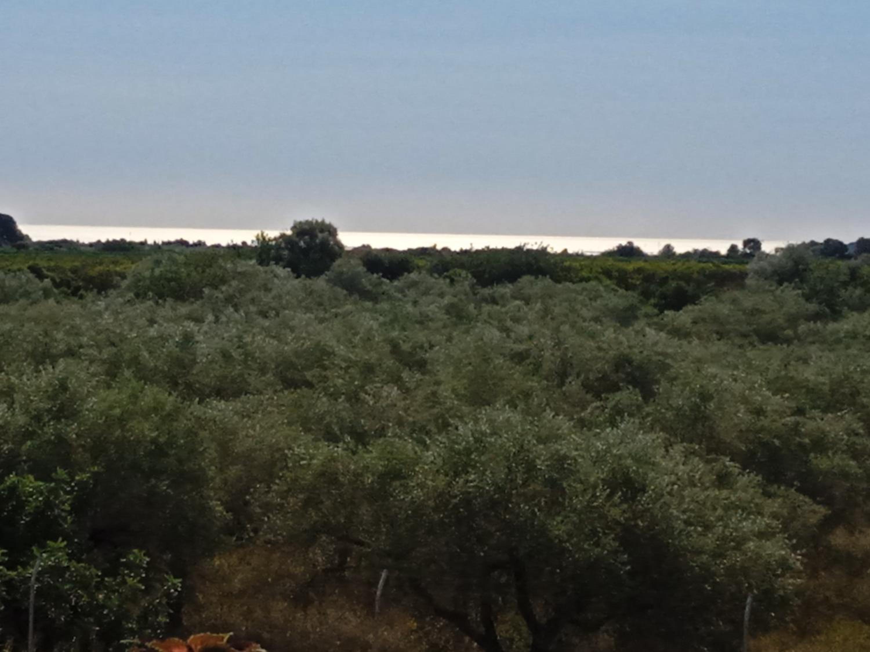Golf Panoramica San Jordi