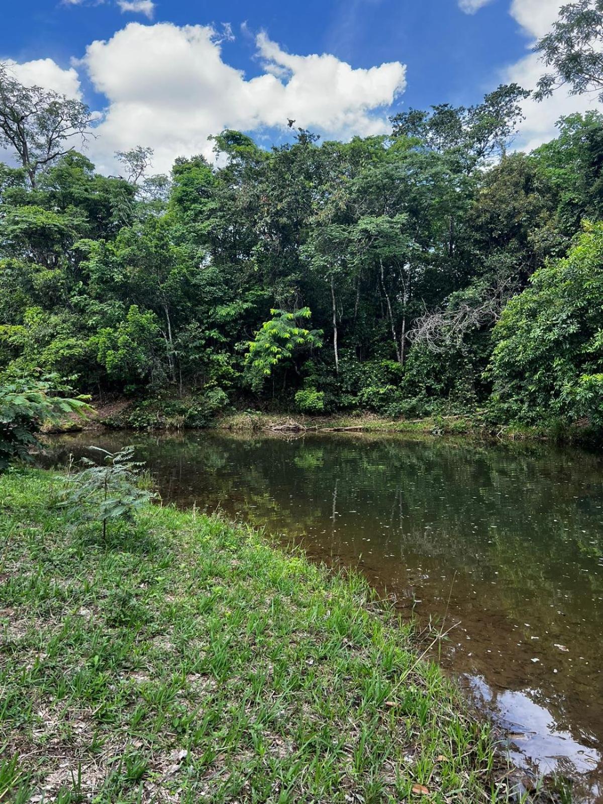 VILLA Broa Pé de Serra Goiás