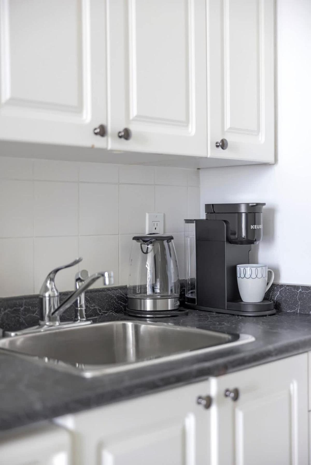 Lakeview Condo Free Parking