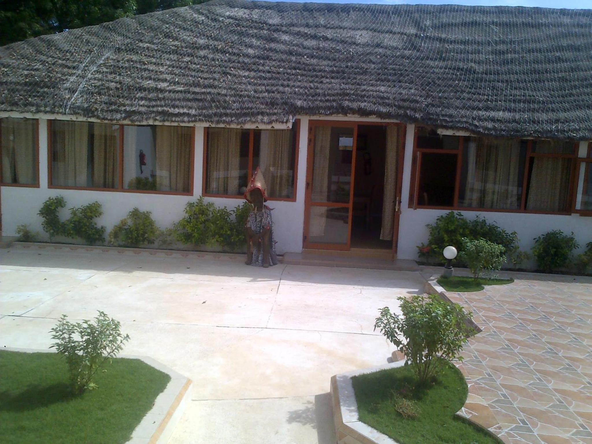 Photo 41