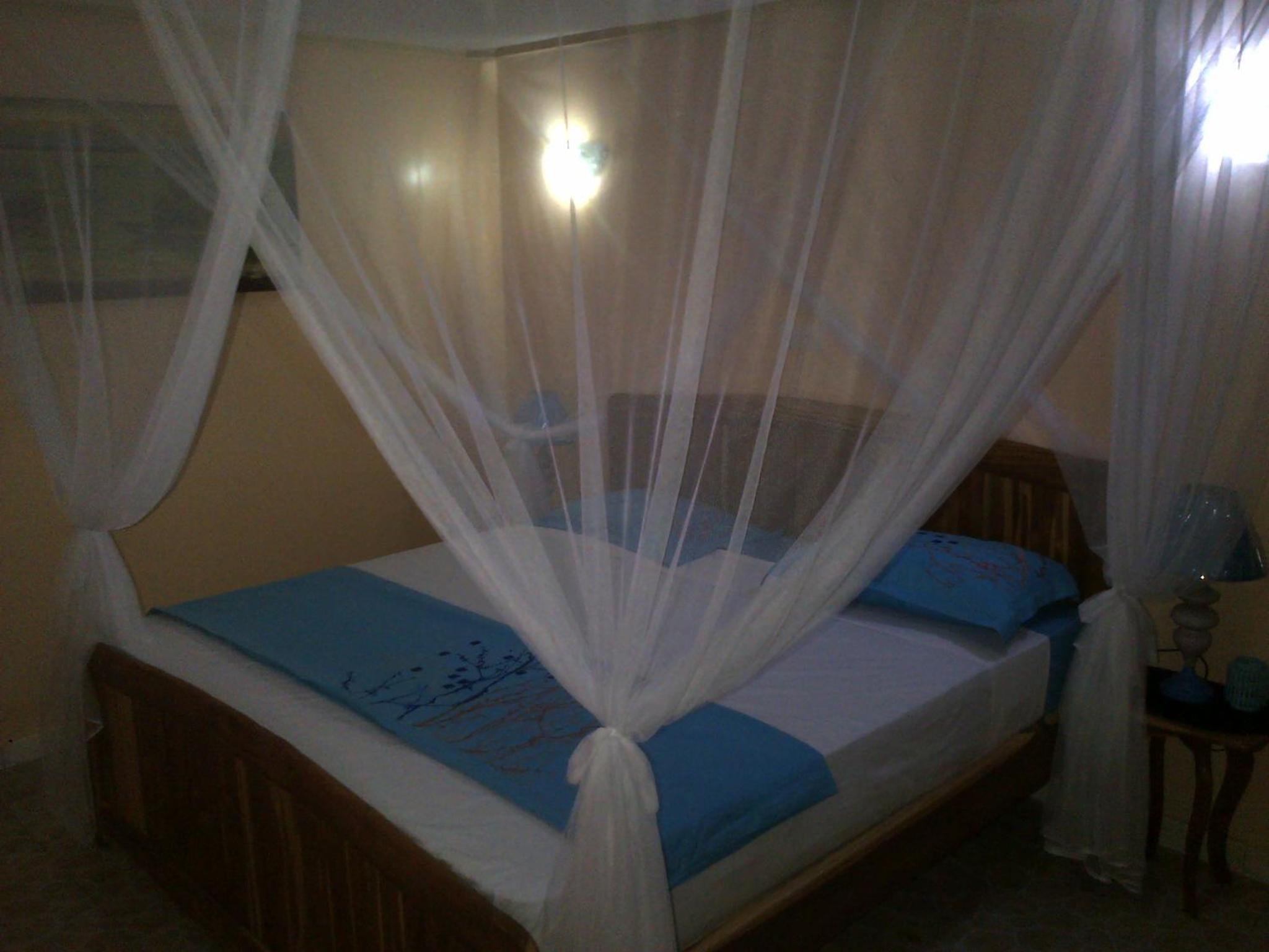 Photo 42