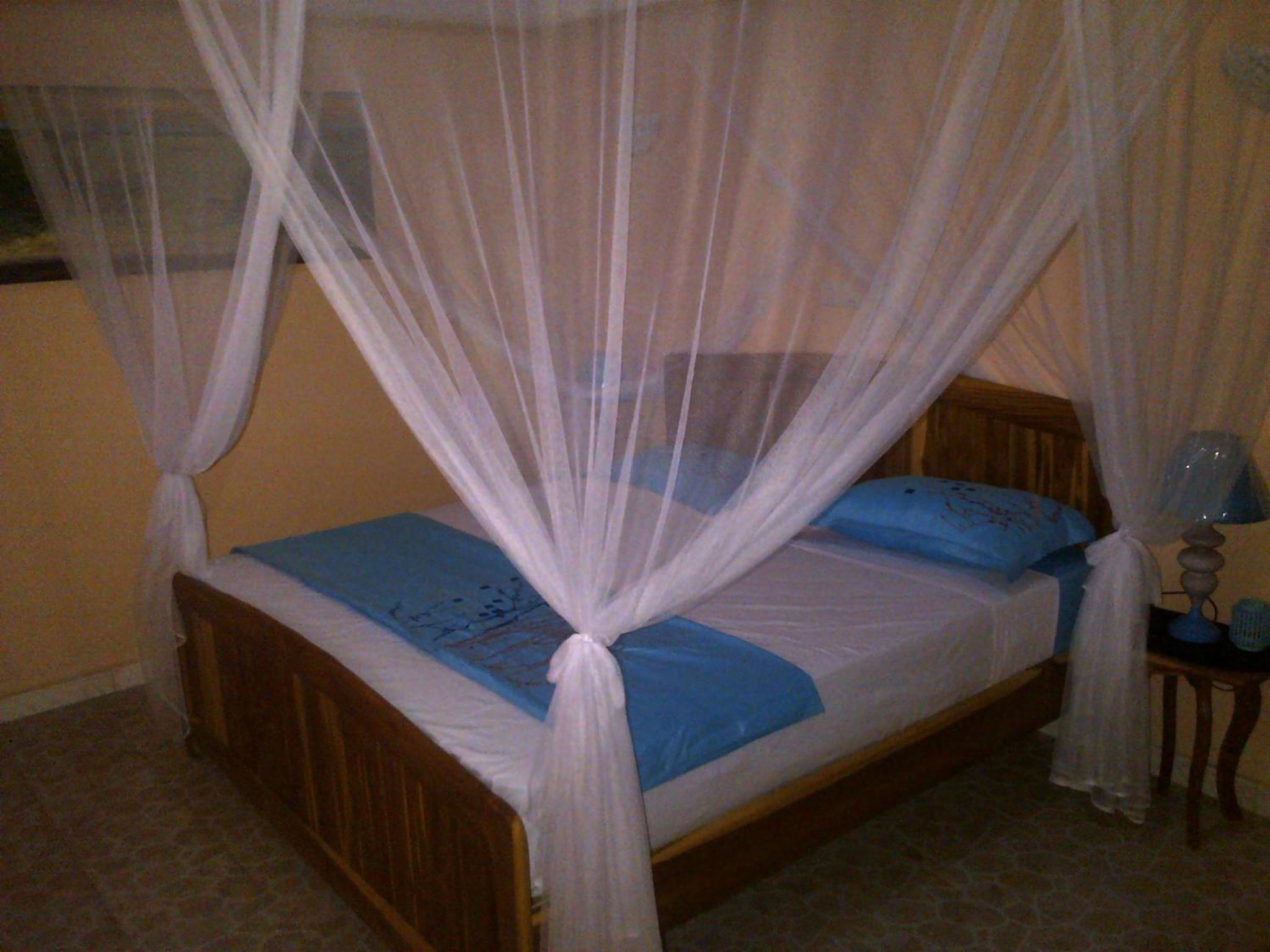 Photo 45