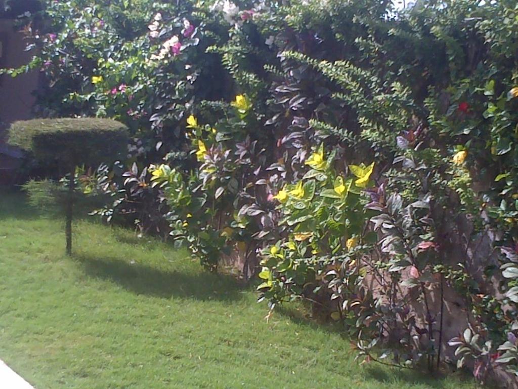 Photo 49