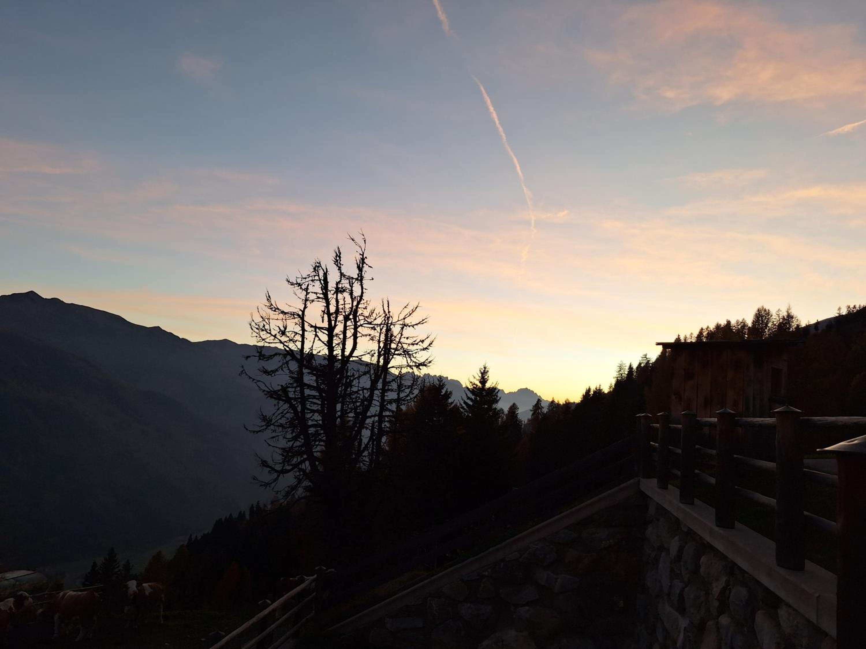 Adlerhütte