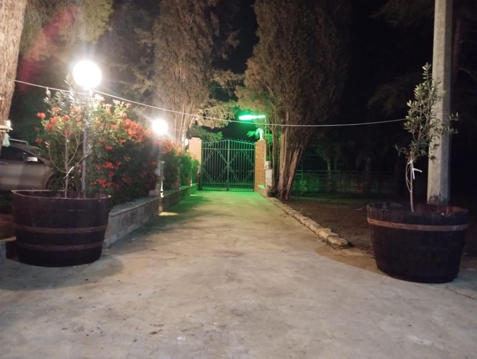 Photo 49