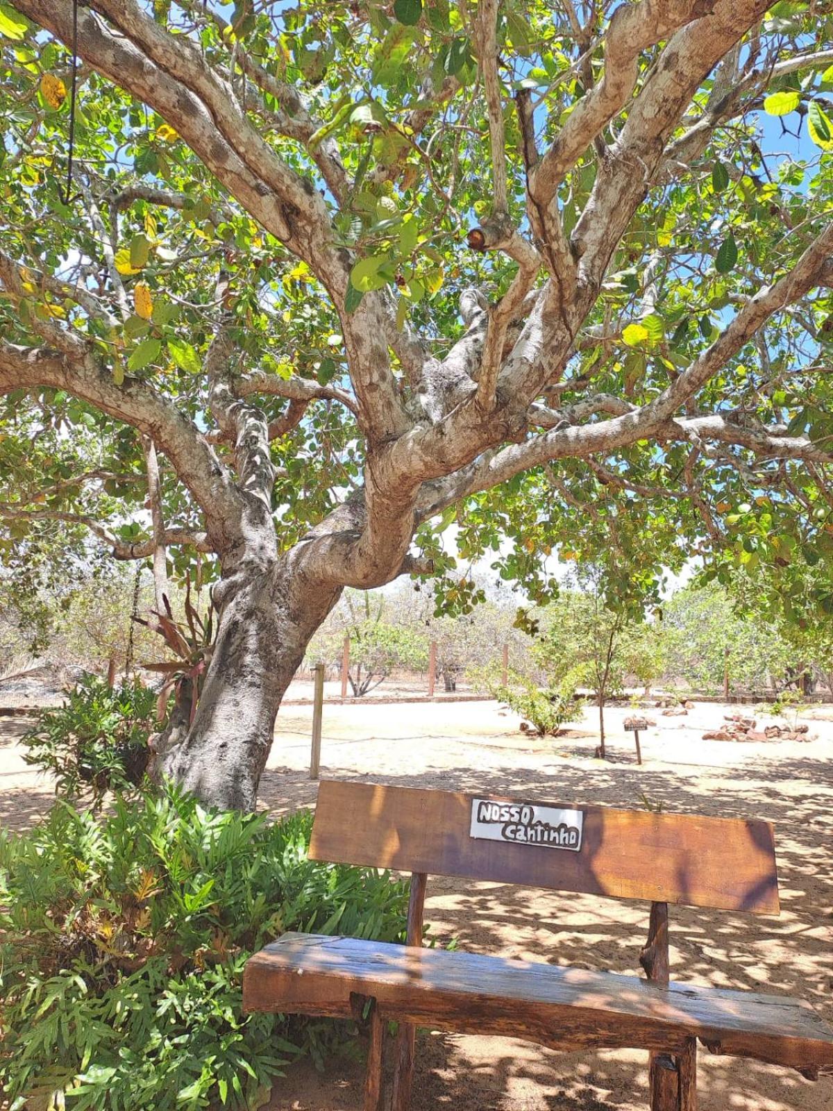 Rancho Império do Cajú