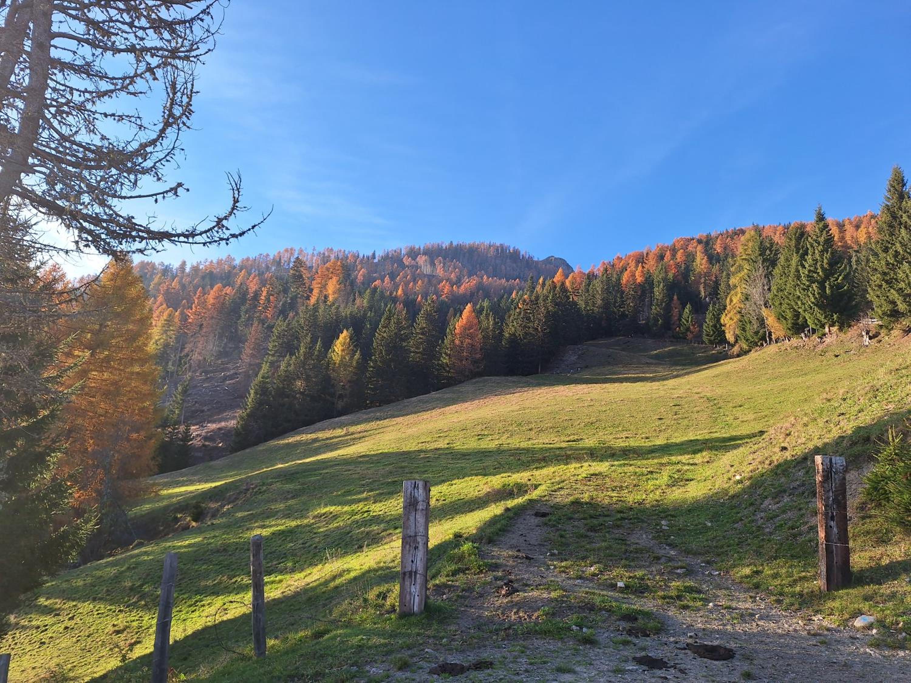 Adlerhütte