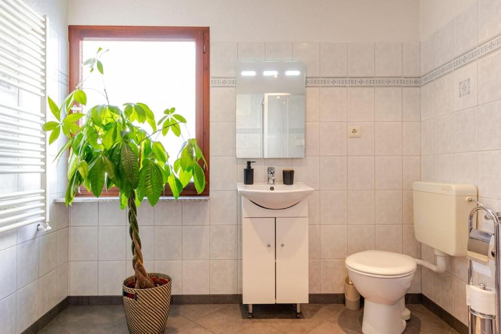 Townhaus-Rhens 8 Schlafzimmer, Sauna, Weinkeller, Fotostudio, Hunde willkommen view 2