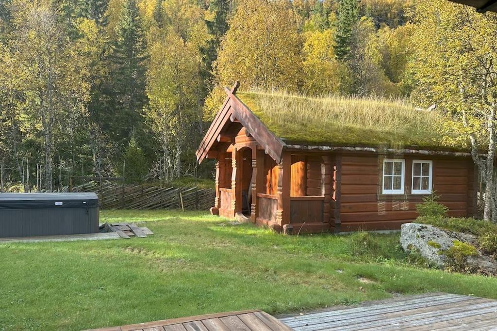Photo 31