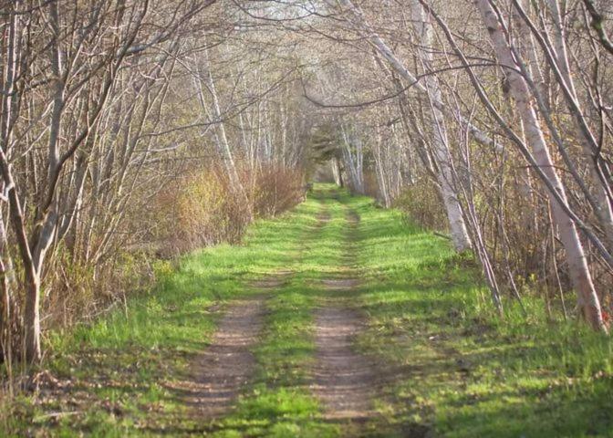 Upper Clements Cottages & RV Park
