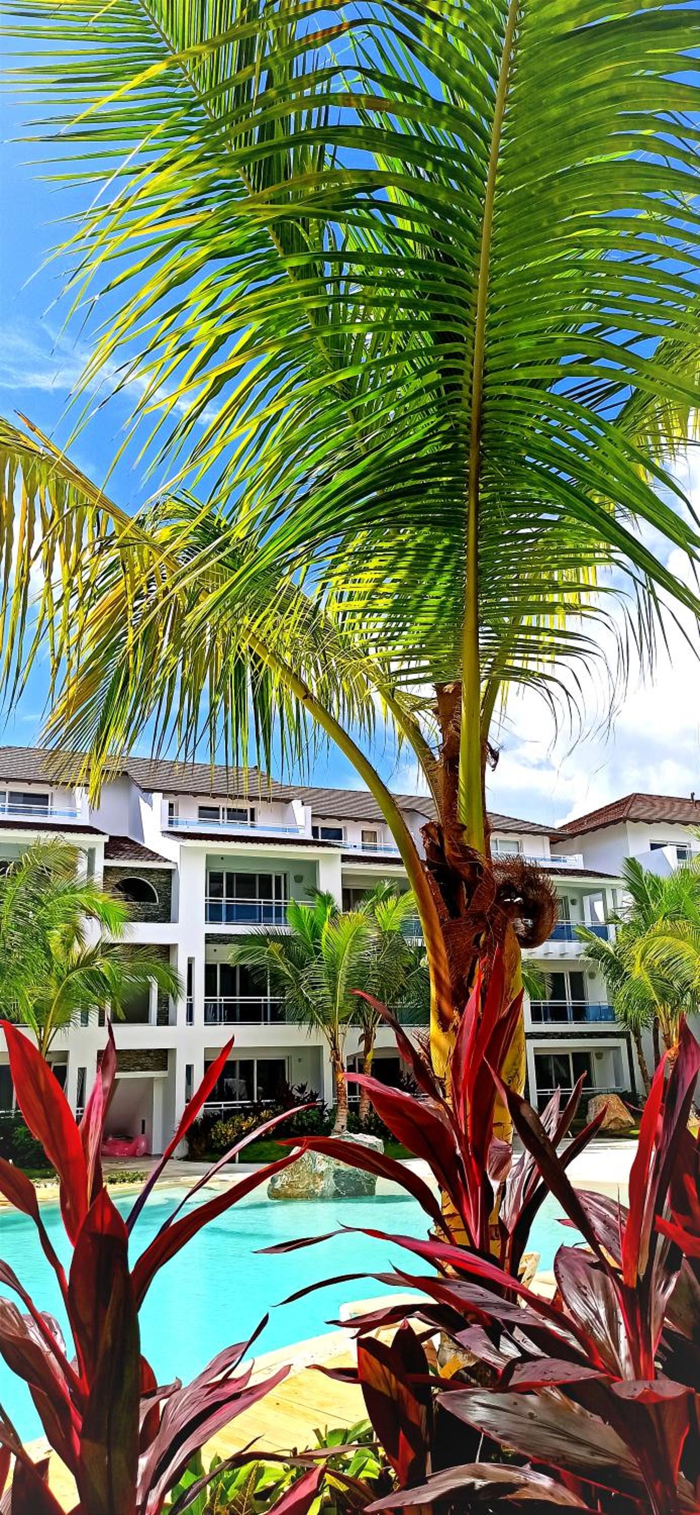 Estrella Dominicus Bayahibe 2BR Amazing Apartment Spektakularny Park Basenowy
