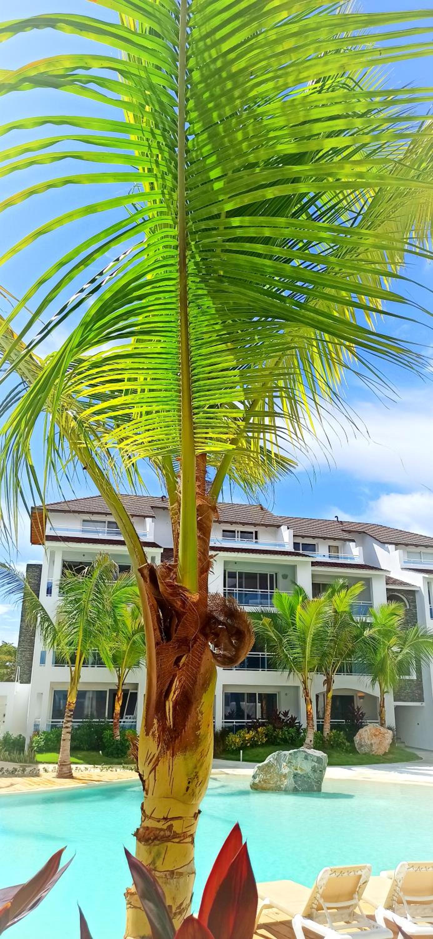 Estrella Dominicus Bayahibe 2BR Amazing Apartment Spektakularny Park Basenowy