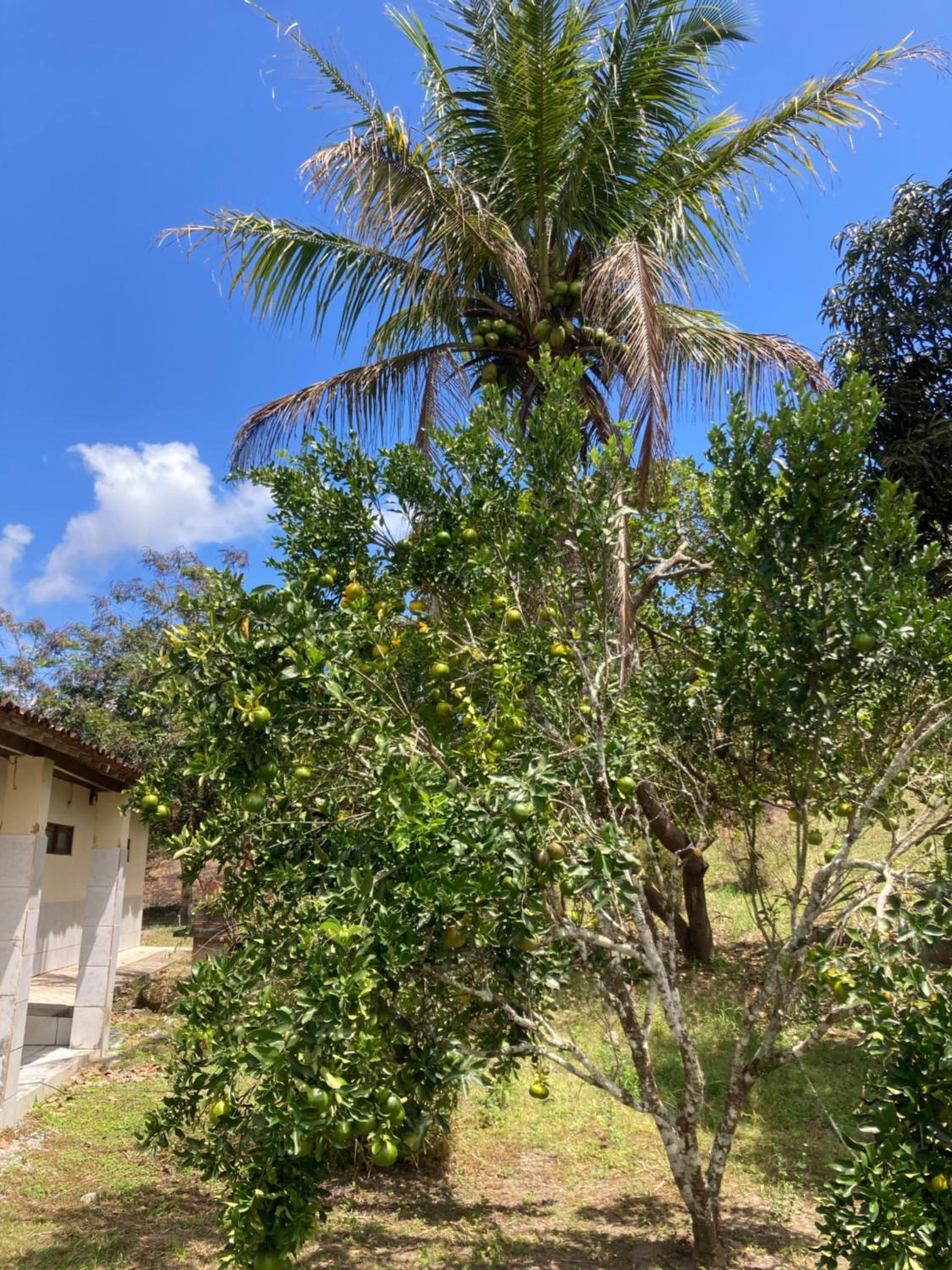 Rancho 7 maravilha