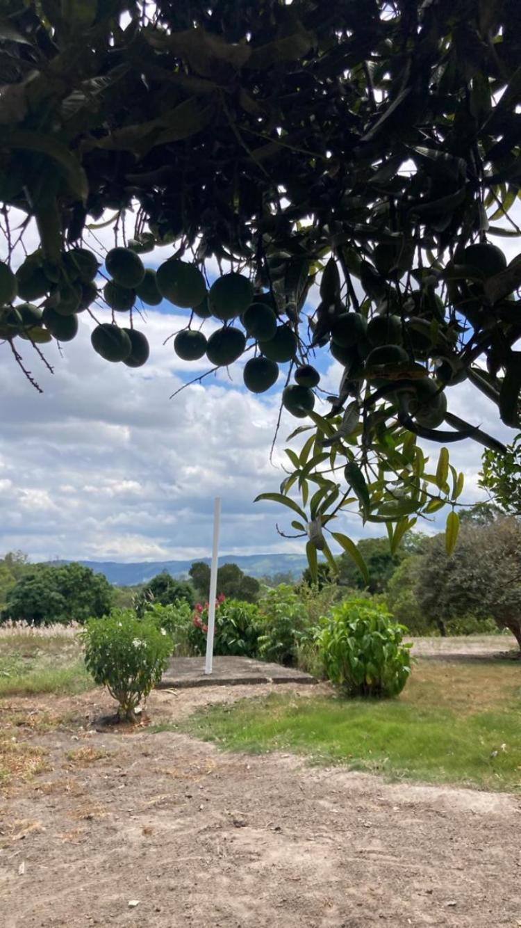 Rancho 7 maravilha