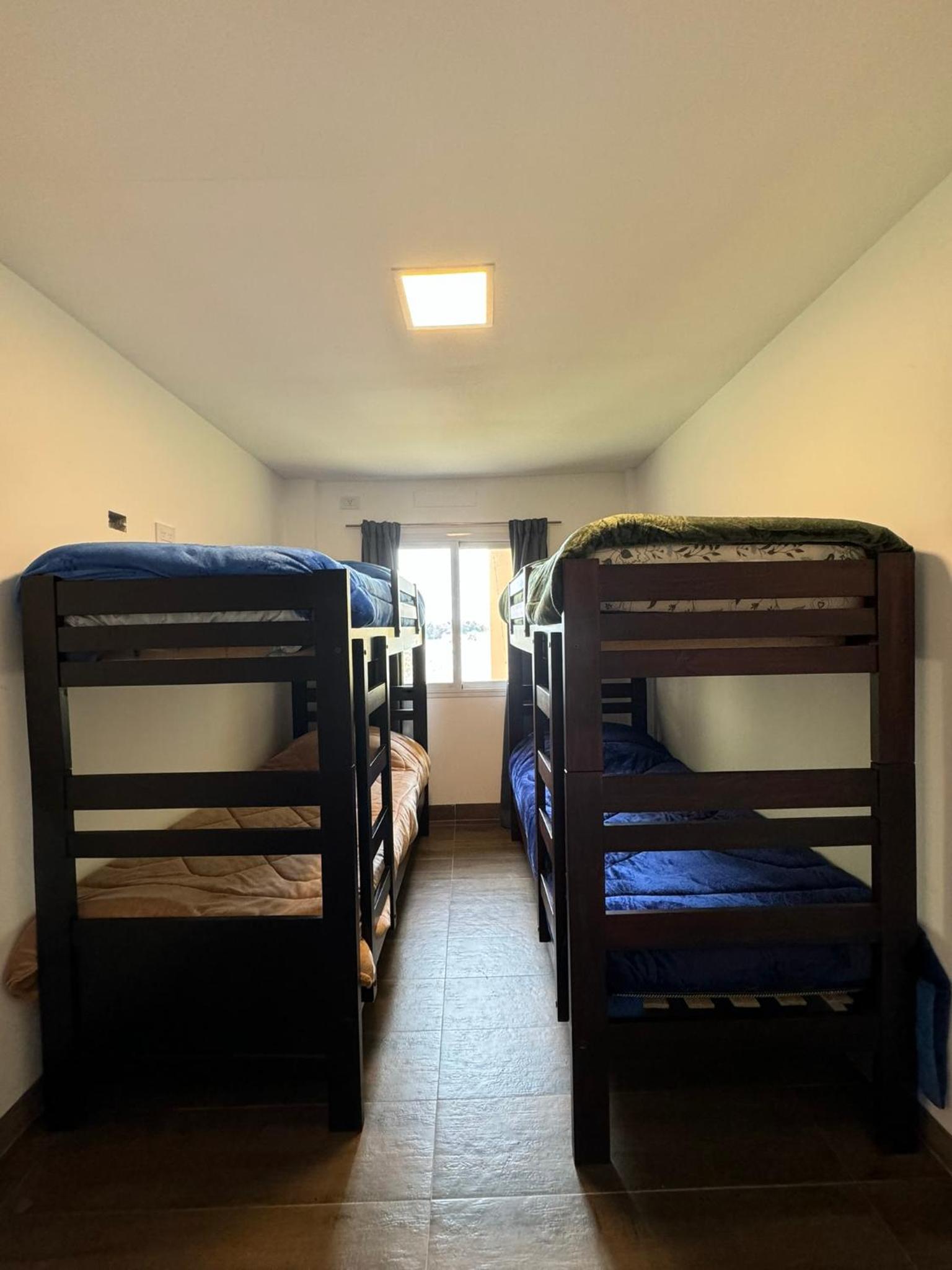 ALPACA DEPARTAMENTOS