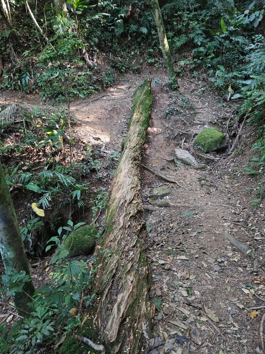 Chales da Trilha