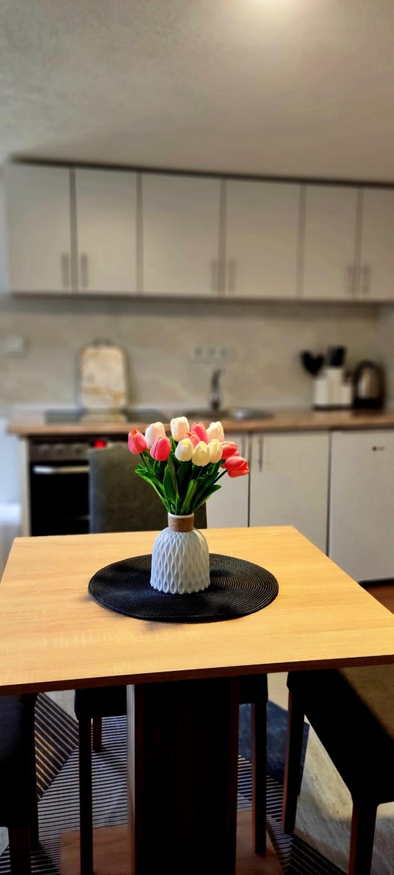 Apartman Duric