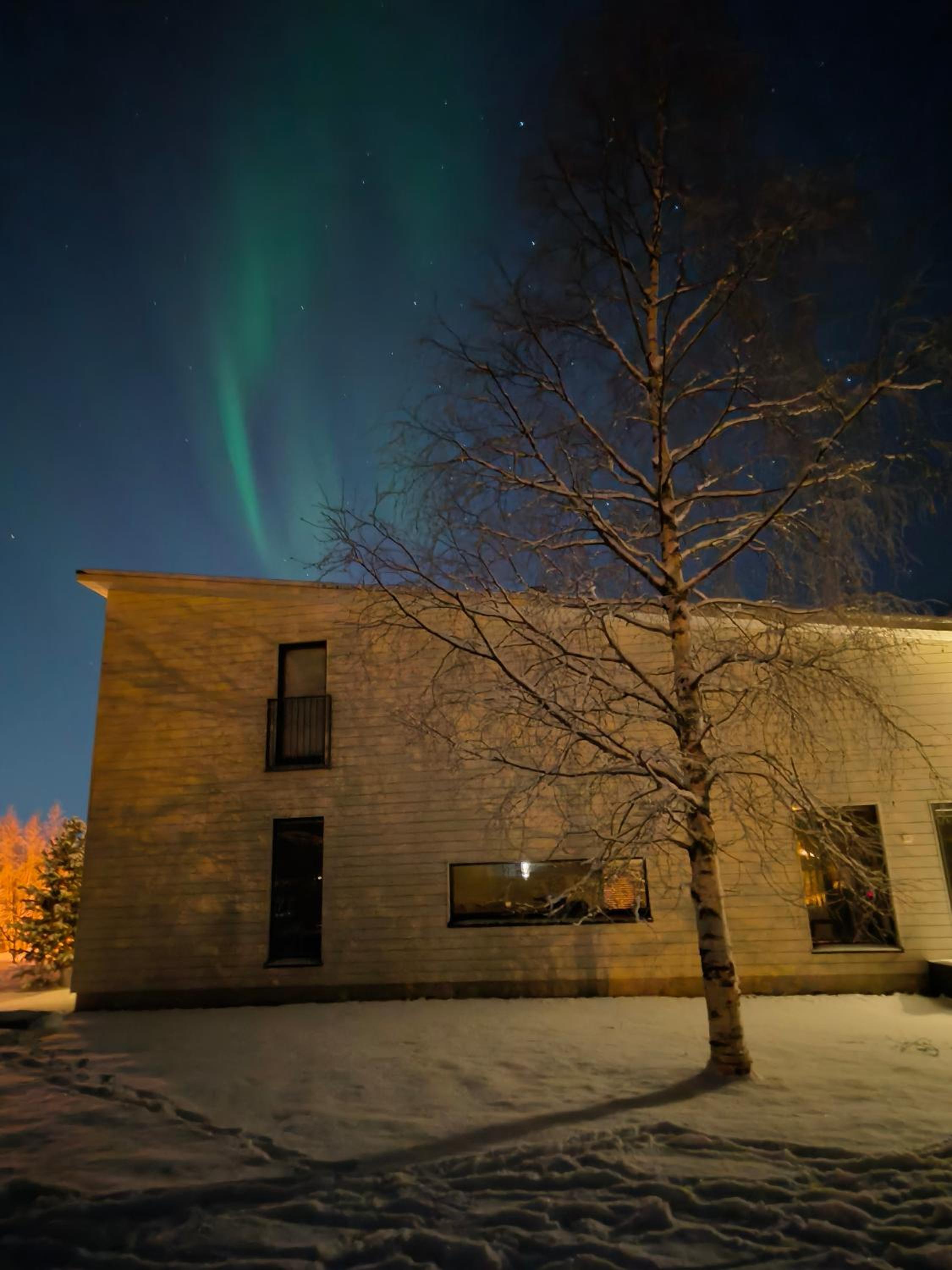 Scandinavian style house