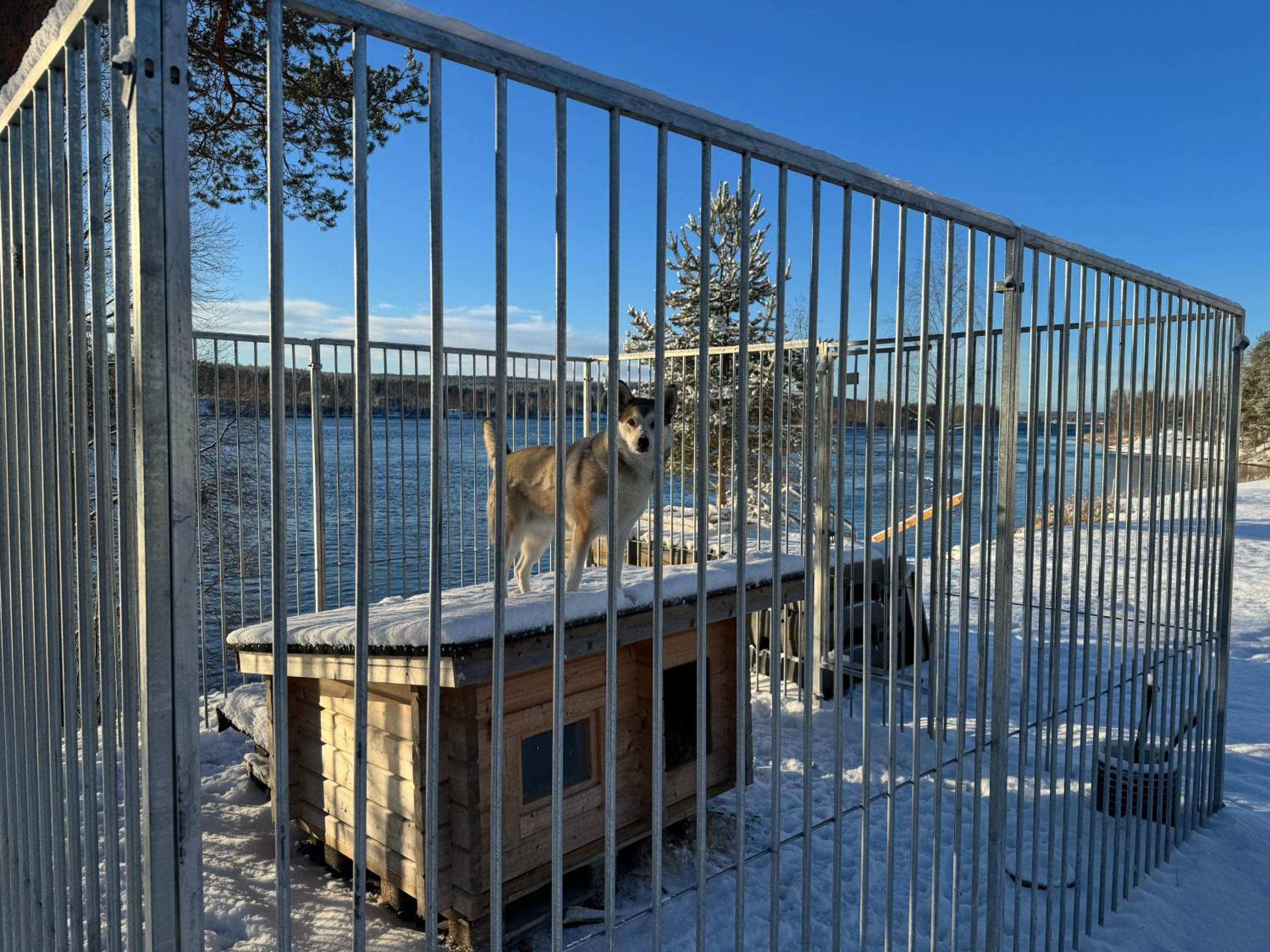 Villa Kosmik Riverside