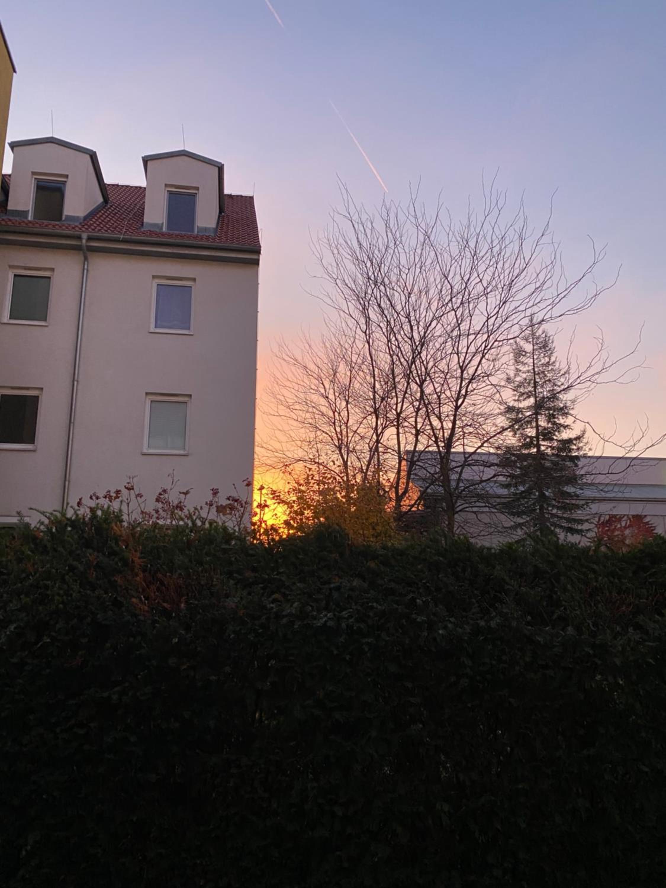 Luxuriöse Neubau-Gartenwohnung