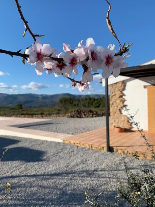 La Llobatera Casa Rural