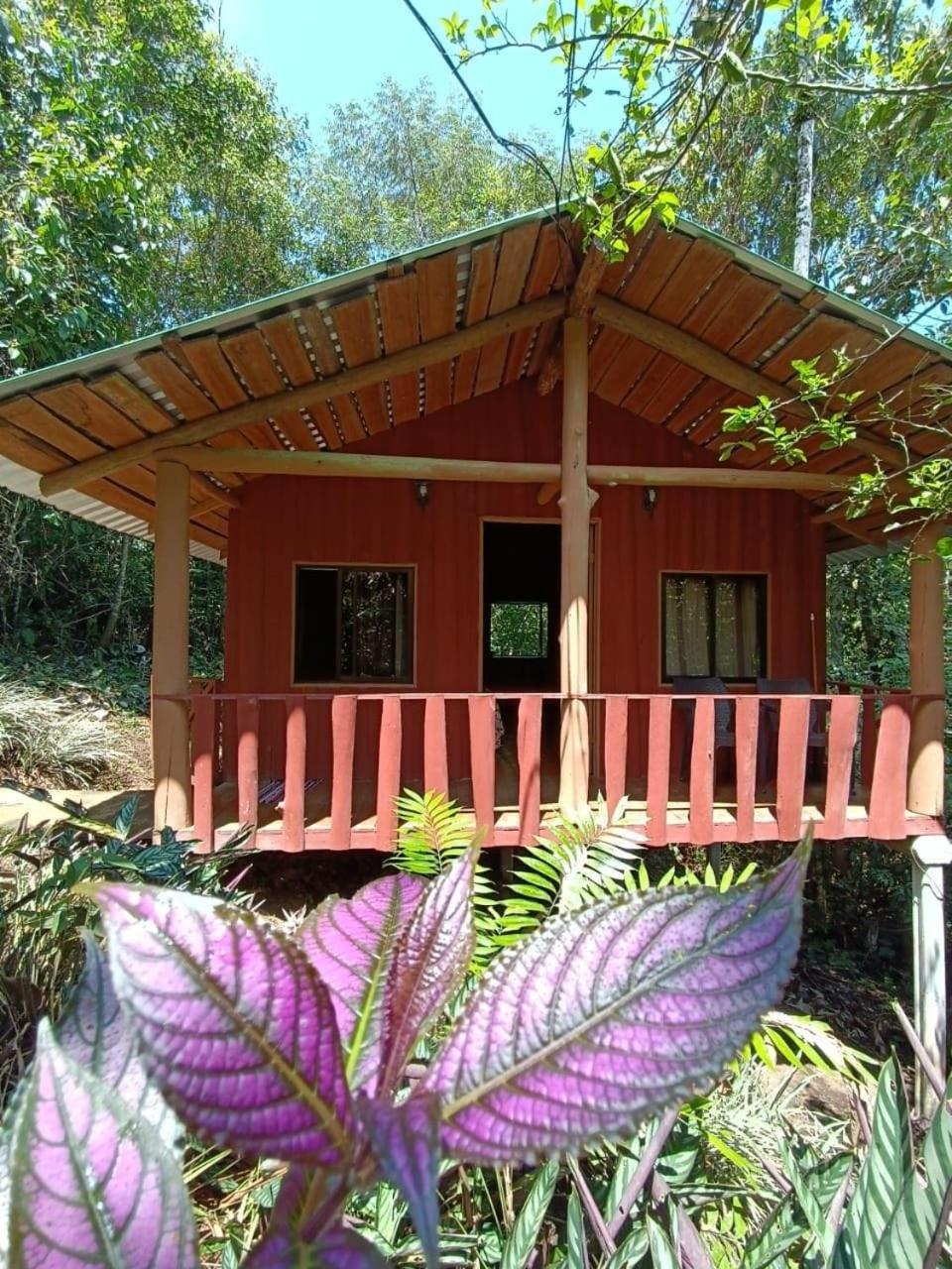 Cabaña De Montaña