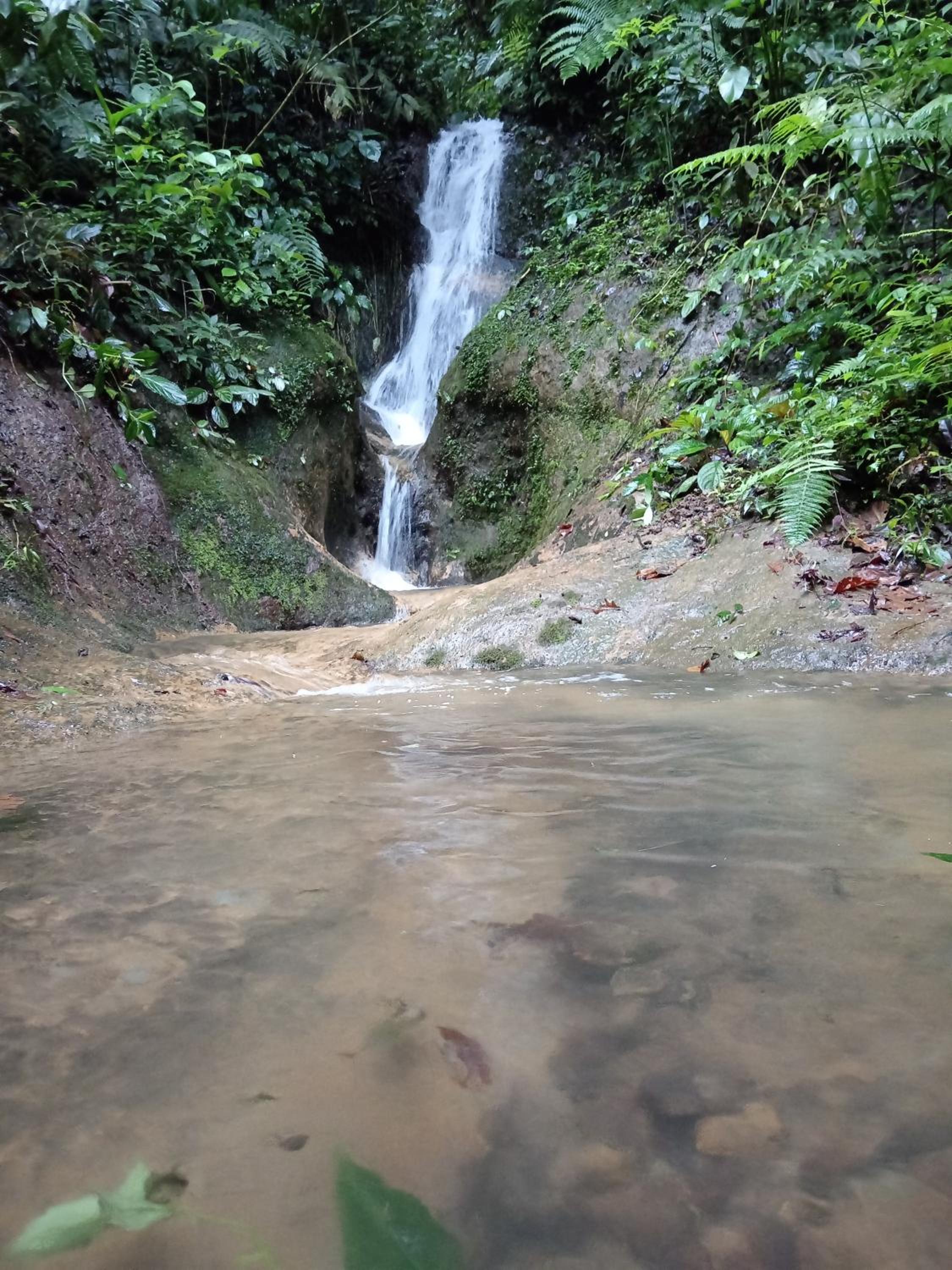 Cabaña De Montaña Con Jacuzzi