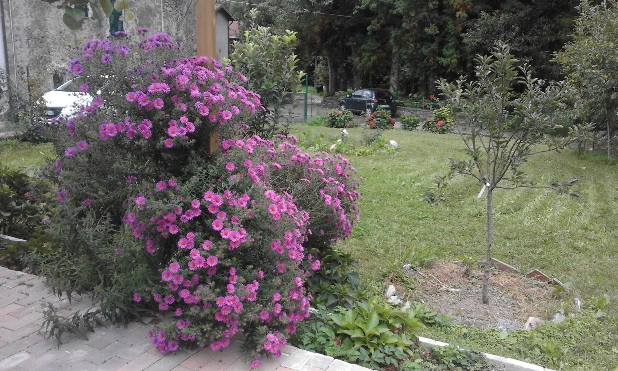 Photo 33