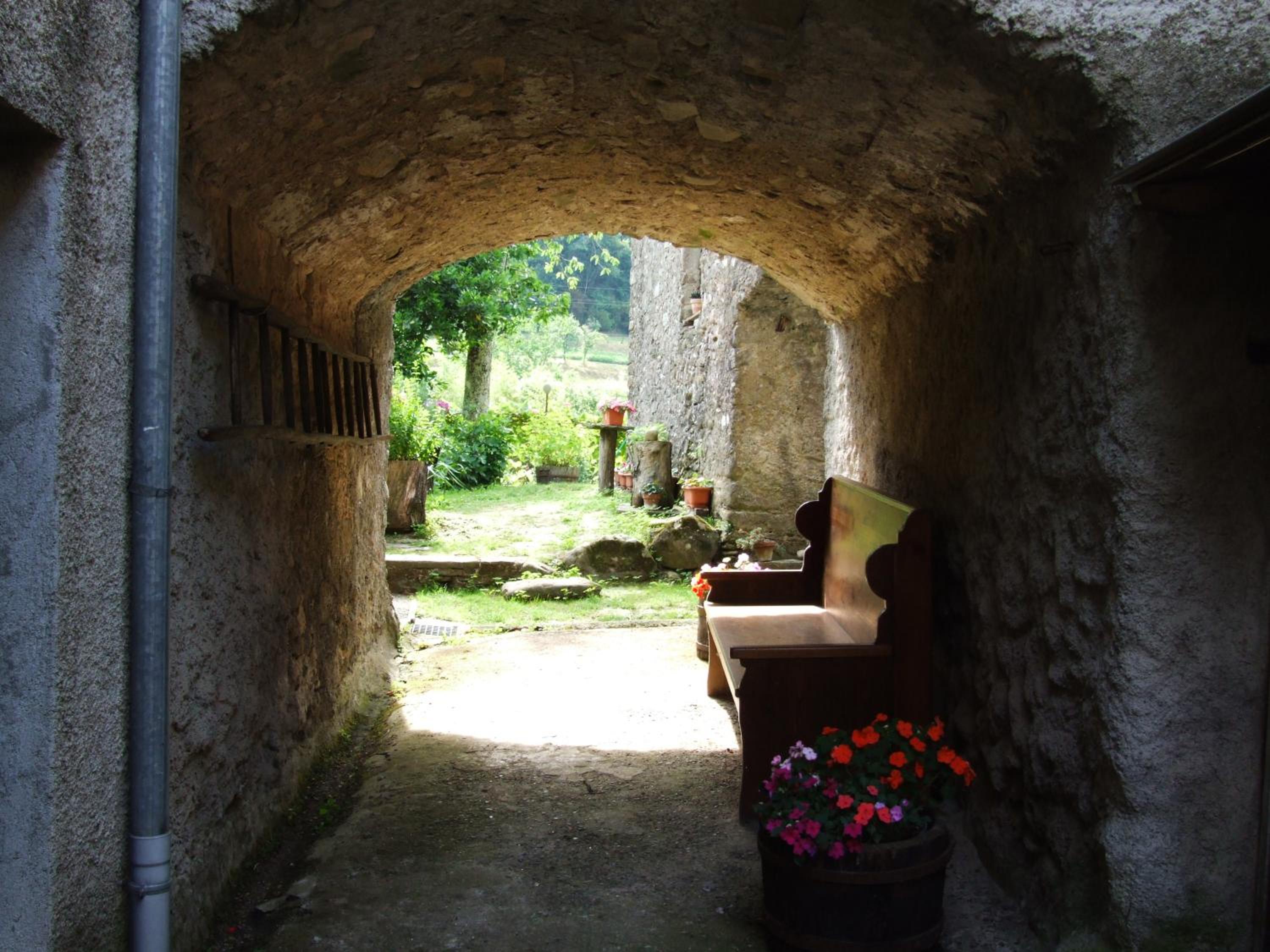 Photo 46