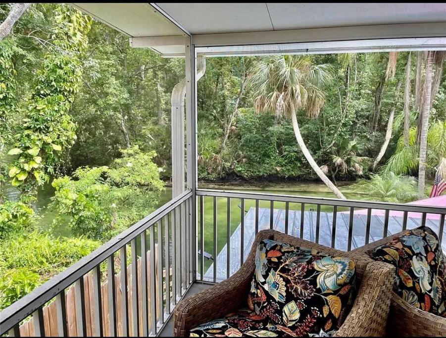 Main River Retreat hot tub, canoe with trolling motor view 4